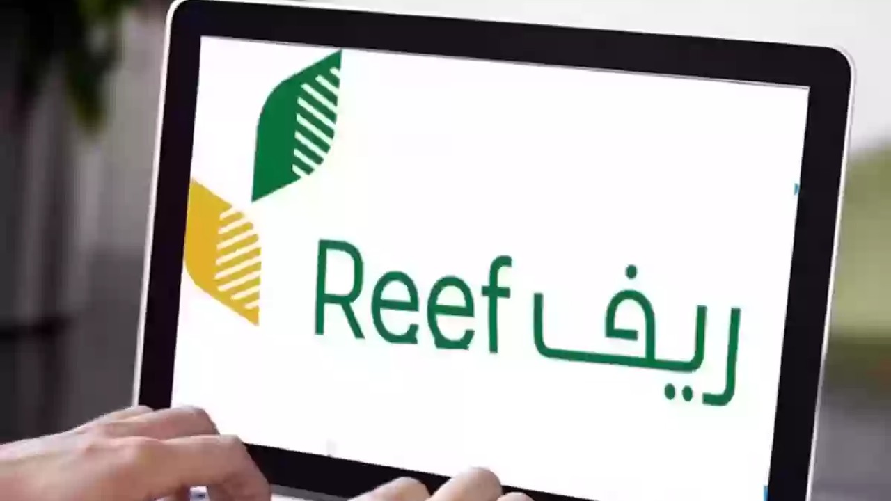 وزارة البيئة والمياه توضح.. خطوات الاستعلام عن دعم ريف وأهم الشروط اللازمة