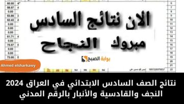 “ظهرت النتيجة”.. نتائج الصف السادس الابتدائي في العراق 2024 النجف والقادسية والأنبار بالرقم المدني