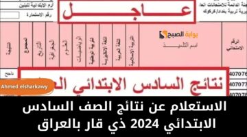 IMG 20240529 WA0008