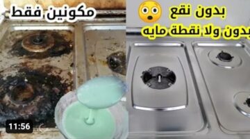 IMG ٢٠٢٣٠٨٠٦ ١٧١٣٤٣ 1