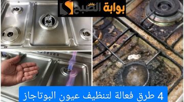 IMG ٢٠٢٤٠٥٠٣ ٢١٤١٤٦