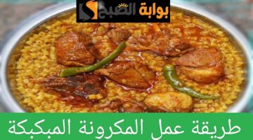 IMG ٢٠٢٤٠٥٠٤ ١٩٤٠٢٢