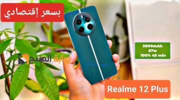 IMG ٢٠٢٤٠٥١٠ ١٩٣٠١٠