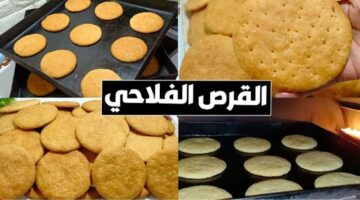 IMG ٢٠٢٤٠٥١٥ ٢١٥٦٢٢