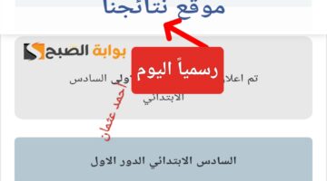 IMG ٢٠٢٤٠٥٢٤ ٢٣٤١٤٣