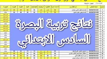 IMG ٢٠٢٤٠٥٢٨ ١٠٢٢١٨