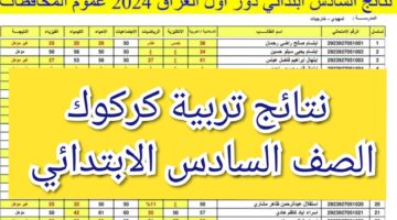 IMG ٢٠٢٤٠٥٢٨ ١٣٤٣٢٧