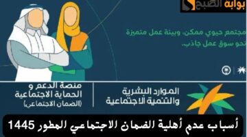 IMG ٢٠٢٤٠٥٢٨ ٢١٤٤٣٠