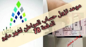 InCollage ٢٠٢٤٠٥٠٥ ١١٥٦٤٣٧٢٧.webp
