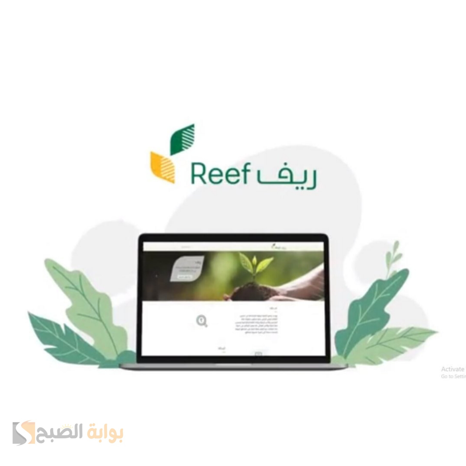 موعد إيداع صرف الدعم الريفي لشهر مايو وطريقة التسجيل في دعم ريف للعاطلين عن العمل 5 موعد إيداع صرف الدعم الريفي لشهر مايو وطريقة التسجيل في دعم ريف للعاطلين عن العمل