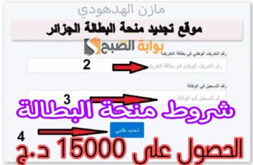 «الحصول على 15000 د.ج» طريقة تجديد منحة البطالة في الجزائر والشروط المطلوبة
