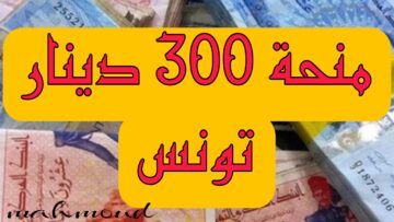 “وزارة الشؤون الاجتماعية eservices.social.gov.tn” التسجيل في منحة 300 دينار 2024 تونس وشروط الحصول عليها