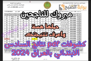 مبروك للناجحين.. كشوفات PDF تربية أربيل وواسط | نتائج السادس الابتدائي بالعراق 2024 الدور الأول “حملها هسة”