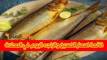 احتفالا بشم النسيم.. قائمة أسعار الرنجة والفسيخ اليوم فى الأسواق المصرية 