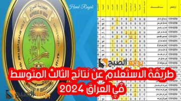 T401716553183663 768x432 1