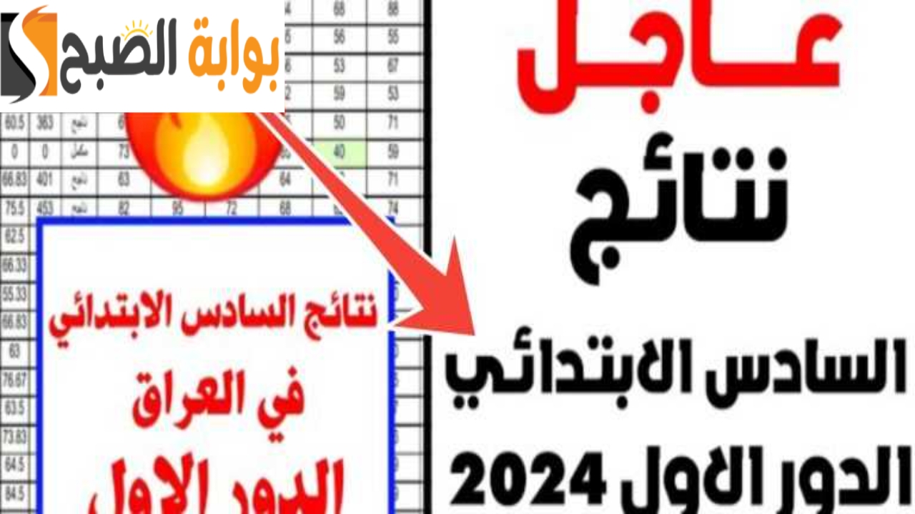«رابط فعّال».. نتائج السادس الابتدائي 2024 العراق الدور الأول.. كركوك ونينوى وديالى وذي قار والبصرة