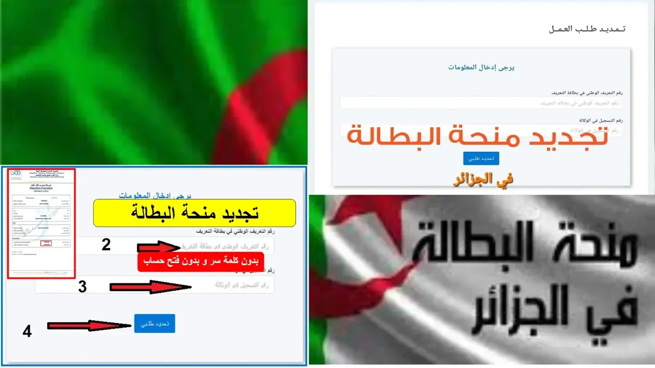 “الوكالة الوطنية للتشغيل anem.dz“ تجديد منحة البطالة 2024 بالجزائر كل 6 أشهر والشروط اللازمة