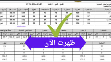 ظهرت اليوم… نتائج السادس الابتدائي 2024 الدور الأول محافظة واسط وبابل