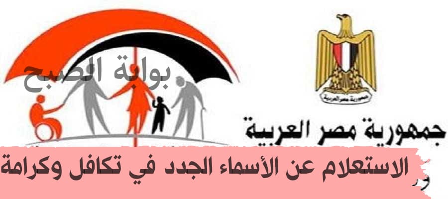 بعد الزيادة وزارة التضامن توضح رابط الاستعلام عن الأسماء الجدد في تكافل وكرامة 2024 5 بعد الزيادة وزارة التضامن توضح رابط الاستعلام عن الأسماء الجدد في تكافل وكرامة 2024