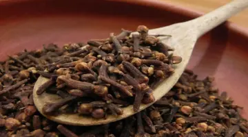 elbashayer