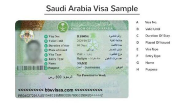 الاستعلام عن تأشيرة الزيارة العائلية و أنواع تأشيرة السعودية