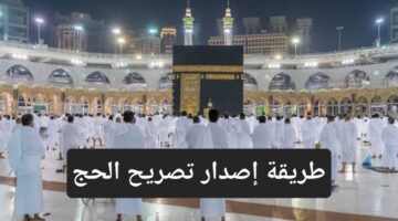 images 2 4