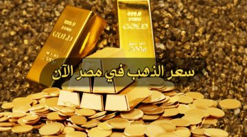 images 28