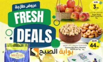 فرصة للشراء.. عروض هايبر نستو على المنتجات الغذائية والاستهلاكية من 19 إلى 21 مايو 2024