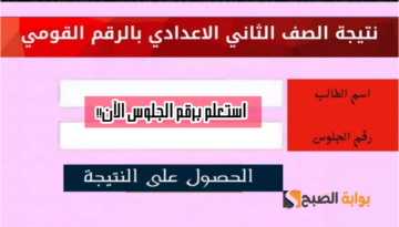 ظهرت الآن.. نتيجة الشهادة الإعدادية محافظة بورسعيد بالاسم ورقم الجلوس عبر portsaid.gov.eg