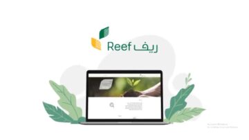مده دراسة الطلب للمستفيدين الجدد ببرنامج ريف السعودي والشروط المطلوبة للقبول