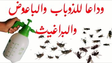 أقوي من المبيد.. القضاء على الناموس والهاموش والذباب نهائيا ستختفي كل الحشرات بسهوله