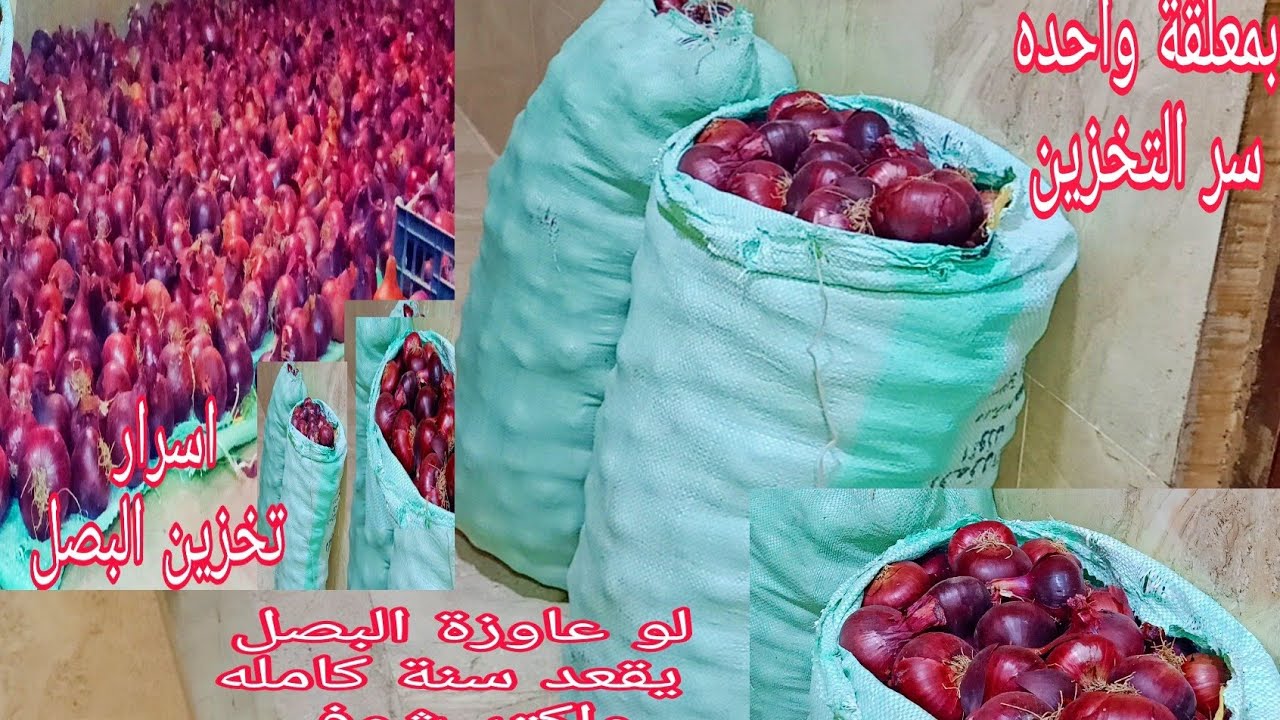 هيقعد طازة شهور.. طريقة سحرية لتخزين البصل من السنة للسنة بدون ما يسود ولا يذبل ولا يتغير لونه وطعمه هيفضل فريش كأنك لسه شرياه حالا 5 هيقعد طازة شهور.. طريقة سحرية لتخزين البصل من السنة للسنة بدون ما يسود ولا يذبل ولا يتغير لونه وطعمه هيفضل فريش كأنك لسه شرياه حالا