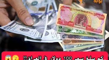 snapedit 1716058805365.jpeg