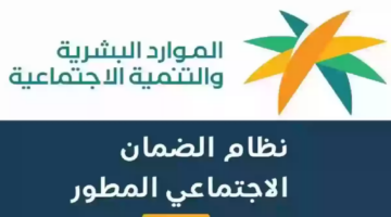 أسباب تعليق دفعات الضمان