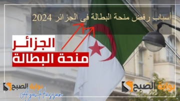 ابتعد عنها… أسباب رفض منحة البطالة في الجزائر للعام الحالي 2024 