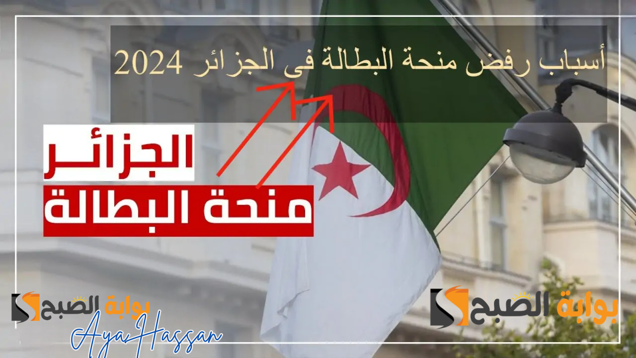 ابتعد عنها… أسباب رفض منحة البطالة في الجزائر للعام الحالي 2024 