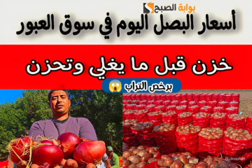 الكيلو بـ6 جنيه.. انخفاض كبير في أسعار البصل اليوم الثلاثاء 21 مايو 2024 وهذا هو سبب الانخفاض؟!
