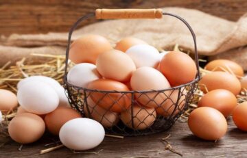 الكرتونة بكام انهاردة؟.. أسعار البيض اليوم الخميس 30 مايو بالأسواق والمحلات