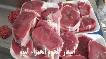 أسعار اللحوم الحمراء اليوم