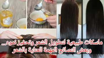 أفضل الخلطات الطبيعية لتطويل الشعر بغزارة
