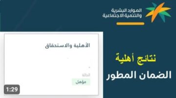 أهلية الضمان الاجتماعى المطور