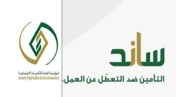 أهلية نظام ساند