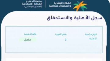 إلغاء التابع المستقل بحساب المواطن