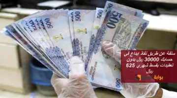 إيداع في حسابك 30000 ريال