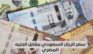 “بشرى سارة لزوار الحرمين” .. استقرار في سعر الريال السعودي في البنوك المصرية اليوم الجمعة 24 مايو 2024 أمام الجنية المصري