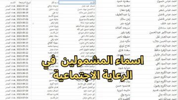 PDF “منصة مظلتي” رابط الاستعلام عن أسماء المشمولين بالرعاية الاجتماعية 2024 الوجبة الأخيرة عبر spa.gov.iq وزارة العمل العراقية 