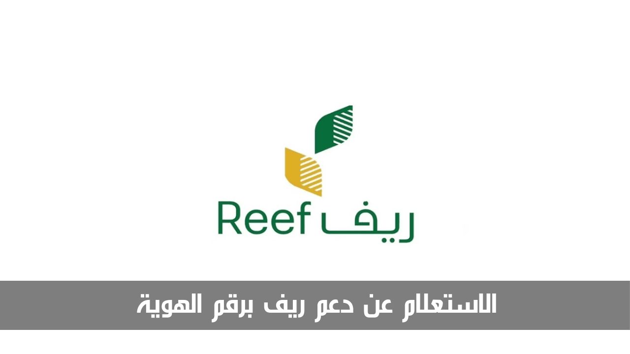 يمكنك الآن الاستعلام عن دعم ريف برقم الهوية إلكترونيًا.. إليك الخطوات التفصيلية للقيام بذلك 5 يمكنك الآن الاستعلام عن دعم ريف برقم الهوية إلكترونيًا.. إليك الخطوات التفصيلية للقيام بذلك