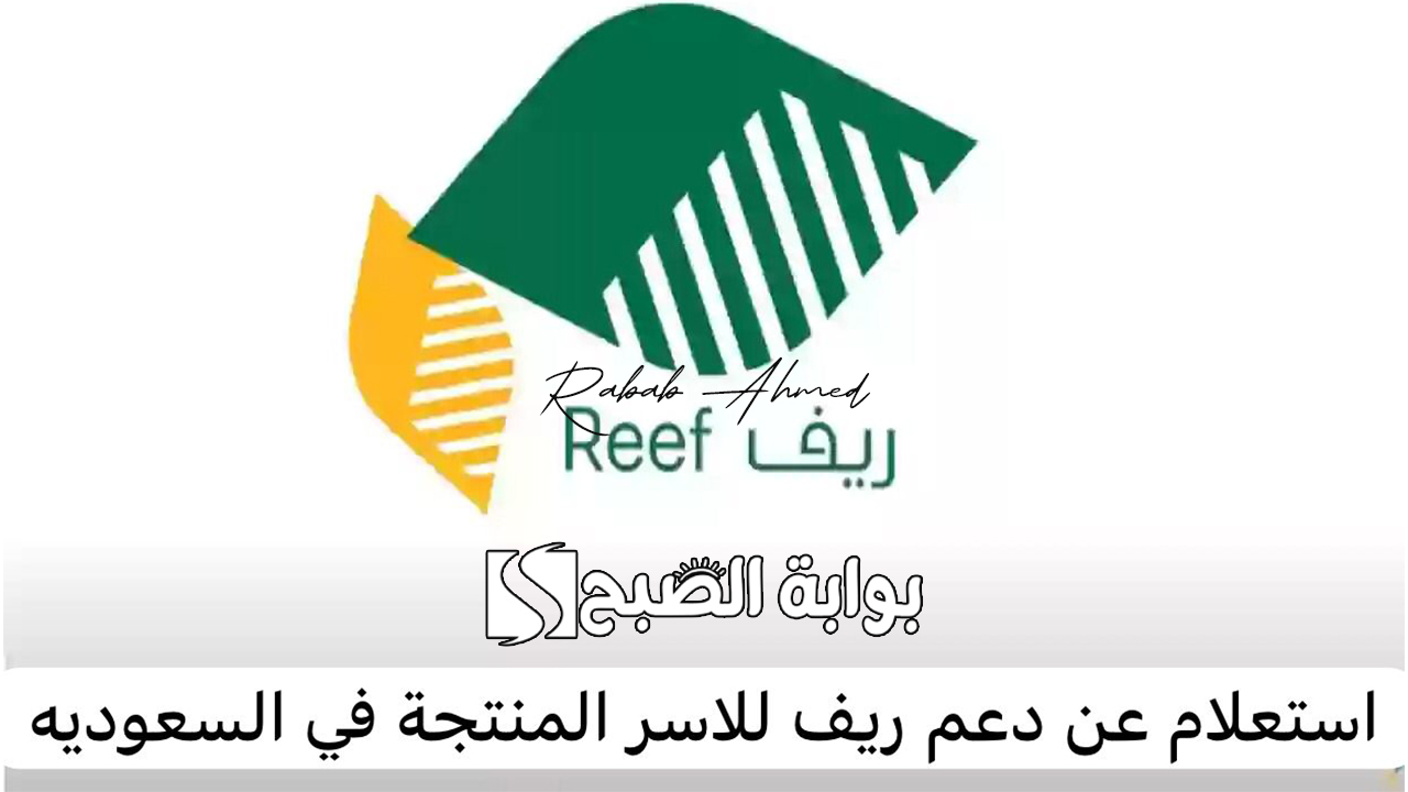 خطوات الاستعلام عن دعم ريف وأهم برامج دعم reef وشروطه 2 خطوات الاستعلام عن دعم ريف وأهم برامج دعم reef وشروطه