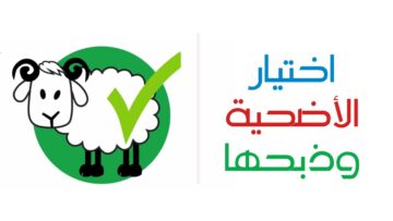 القومي للبحوث يوضح شروط اختيار أضحية العيد وكيفية فحص الحيوان قبل الشراء