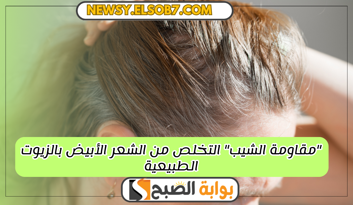 "مقاومة الشيب" التخلص من الشعر الأبيض بالزيوت الطبيعية بخطوات سهلة ومكونات بسيطة 6 “مقاومة الشيب” التخلص من الشعر الأبيض بالزيوت الطبيعية بخطوات سهلة ومكونات بسيطة